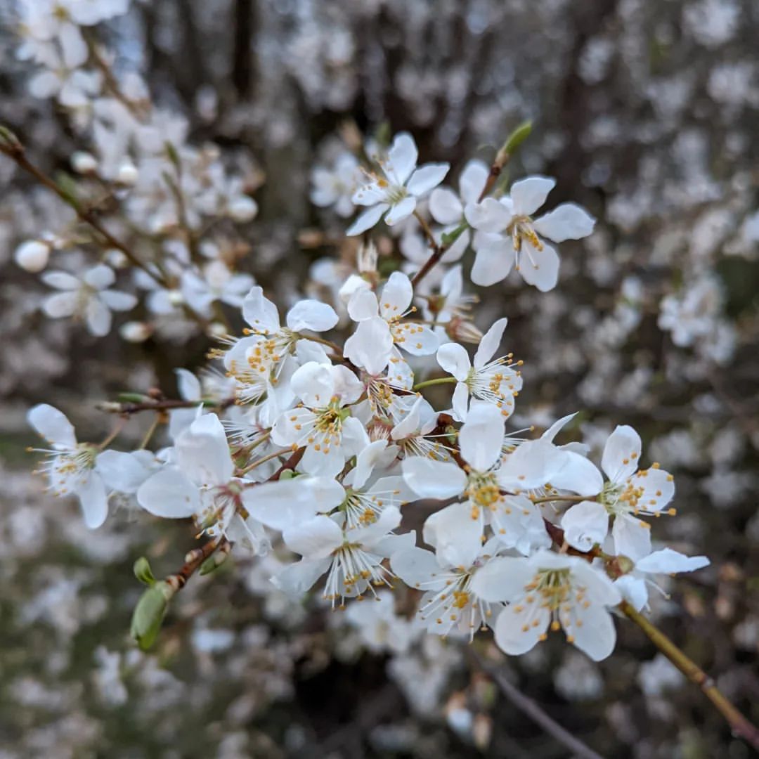 mikhail.tronin в LOOKY — фото 4