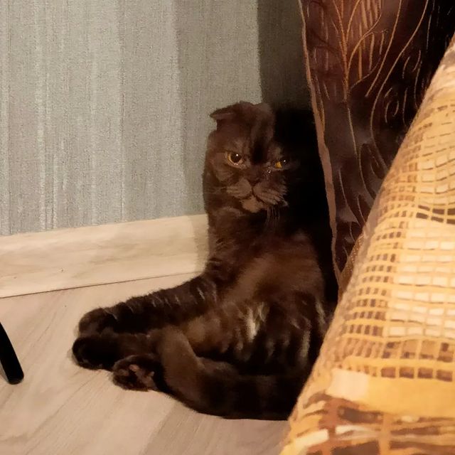 vituly_08 в LOOKY. #всекотыпопадаютврай. Сегодня у всех празд...