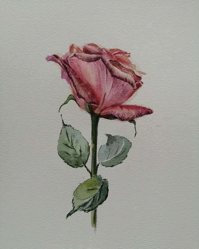 anna_m_handmade в LOOKY. #учусьрисовать,#акварель,#артвесна,#мечтай_и_рисуй,#весна2023,#акварельные_розы,#art,#watercolor,#watercolorart. Ой, совсем забыла по...