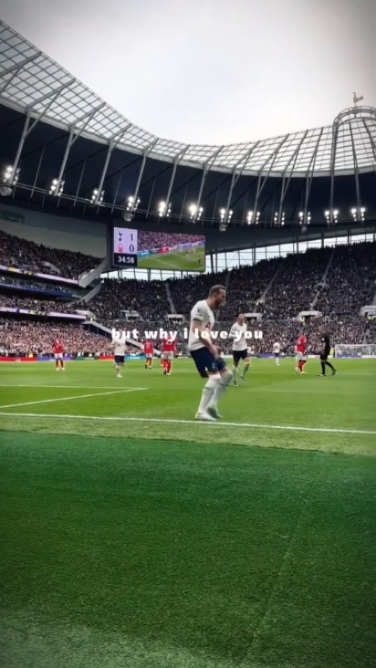 nalitouz в LOOKY. #spurs,#footballfans,#footballedits,#tottenham,#love. Tottenham 😍♥️...
-
...
