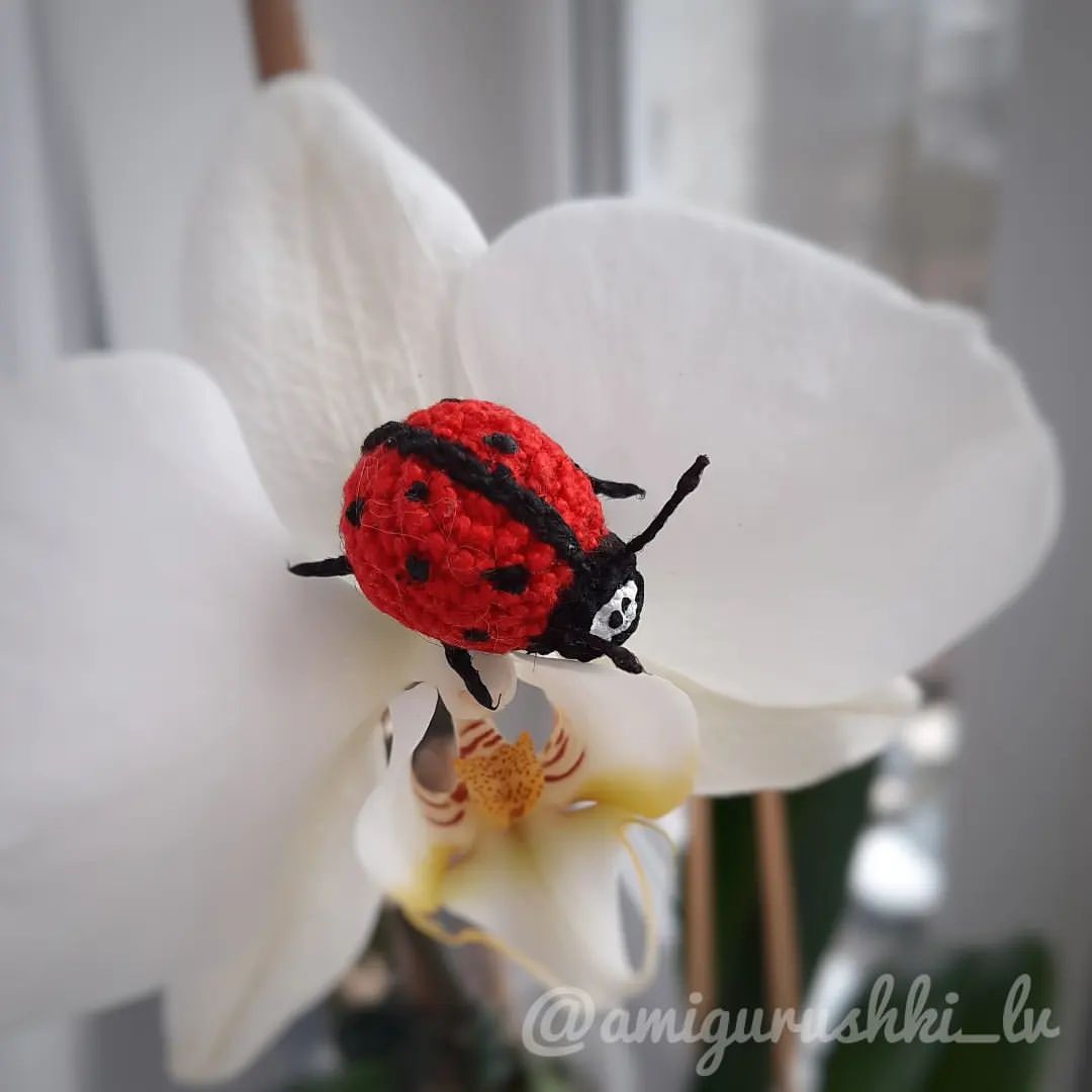 amigurushki_lv в LOOKY — фото 4