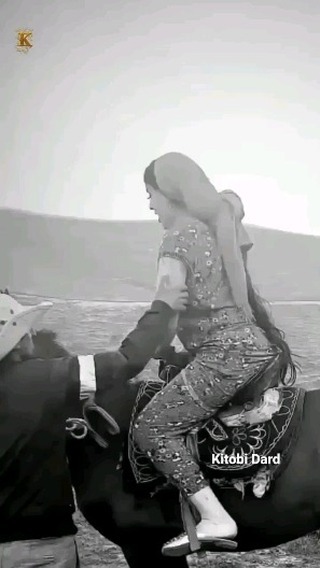 sharapov_kosim в LOOKY. . Iran