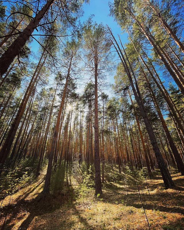 maryandrienko в LOOKY. . null