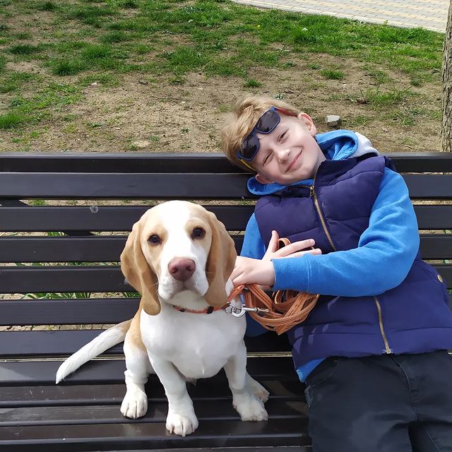 buklya_toys в LOOKY. #sparkbeagle,#бигли,#бигльэтосчастье,#спортэтожизнь,#бигльлучшаясобака,#севастополь. Если что я теперь с ...