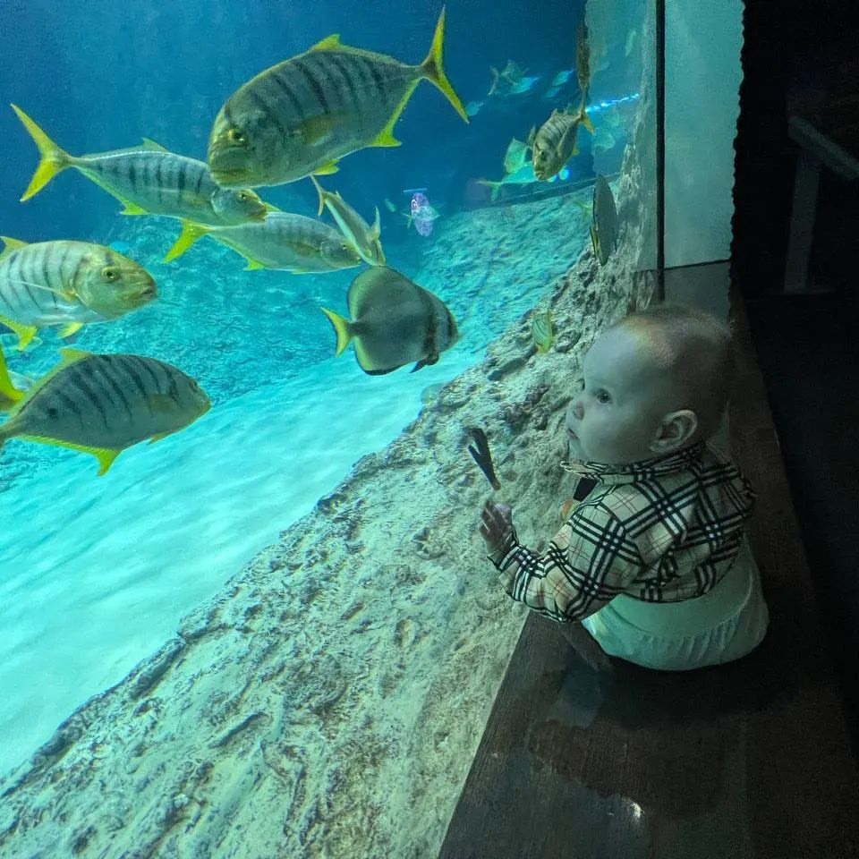 🐠🐟