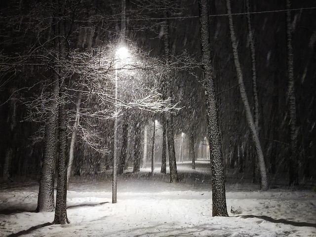 ____di.em в LOOKY. #forest,#trees,#nature,#naturephotography,#landscape,#landscapephotography,#landscape_russia,#beauty,#flowers🌸,#l4likes,#followforfollowback,#atmosphere#recentforrecent,#recent4recent,#likeback,#followback,#follow,#trocolikes,#likes4likes,#likes,#likeforfollow,#like4likes,#instagood,#likeforlikeback,#like4follow#likeforlike,#like4like,#likeforfollow,#likesforlikes,#followforfollow,#follow4follow. ═━━━━━━━━━━━━━━━━━━━...