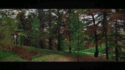 ____di.em в LOOKY. #forest,#trees,#nature,#naturephotography,#landscape,#landscapephotography,#landscape_russia,#beauty,#flowers🌸,#l4likes,#followforfollowback,#atmosphere#recentforrecent,#recent4recent,#likeback,#followback,#follow,#trocolikes,#likes4likes,#likes,#likeforfollow,#like4likes,#instagood,#likeforlikeback,#like4follow#likeforlike,#like4like,#likeforfollow,#likesforlikes,#followforfollow,#follow4follow. ═━━━━━━━━━━━━━━━━━━━...