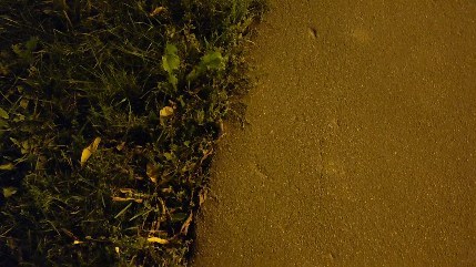 ____di.em в LOOKY. #forest,#trees,#nature,#naturephotography,#landscape,#landscapephotography,#landscape_russia,#beauty,#flowers🌸,#l4likes,#followforfollowback,#atmosphere#recentforrecent,#recent4recent,#likeback,#followback,#follow,#trocolikes,#likes4likes,#likes,#likeforfollow,#like4likes,#instagood,#likeforlikeback,#like4follow#likeforlike,#like4like,#likeforfollow,#likesforlikes,#followforfollow,#follow4follow. ═━━━━━━━━━━━━━━━━━━━...
