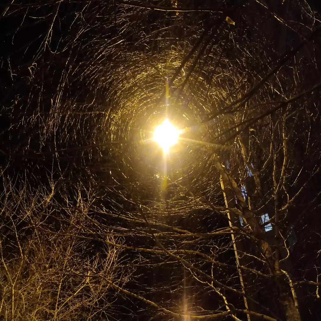 timyr_x_x в LOOKY — Катакомбы