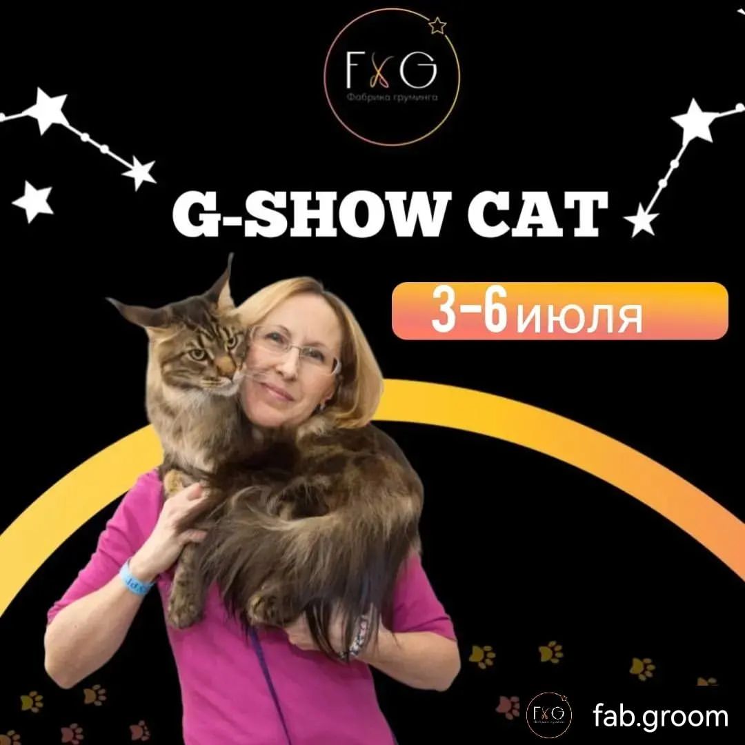 mycatgrooming in LOOKY. . Reposted from @fab.g...