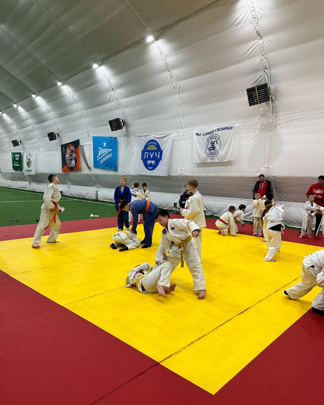 judo_pride в LOOKY — фото 10