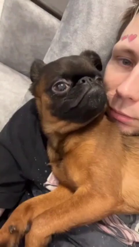 yoshik_dog в LOOKY. . Ну как то так