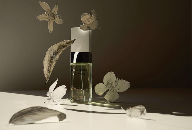 Ksenia • Visual artist в LOOKY. #artphotography,#visualartist,#stilllifephotography,#stilllifestylist,#setstylist,#propstyling,#propstylist,#propsmaker,#collageprops,#paperpropsdesigner,#graphicsartist,#botanicalartist,#botanicalgraphicsartist,#артфотография,#визуальныйхудожник,#предметнаяфотография,#художникнатюрморта,#сетдизайн,#сетдизайнермосква,#сетстилист,#дизайнреквизита,#пропсдизайнер,#коллаж,#ботаническийколлаж,#артграфика,#визуальныйхудожник,#ботаническаяграфика,#ботаническийхудожник. • paper botanical pr...