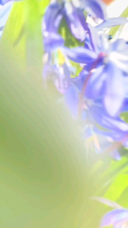 z_.nestea._a в LOOKY. . Весна🥰