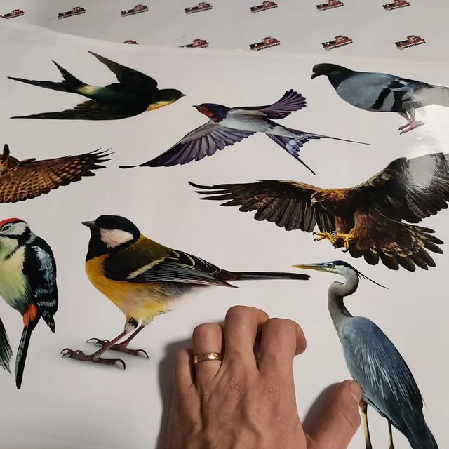 printkomar в LOOKY. . Стикеры