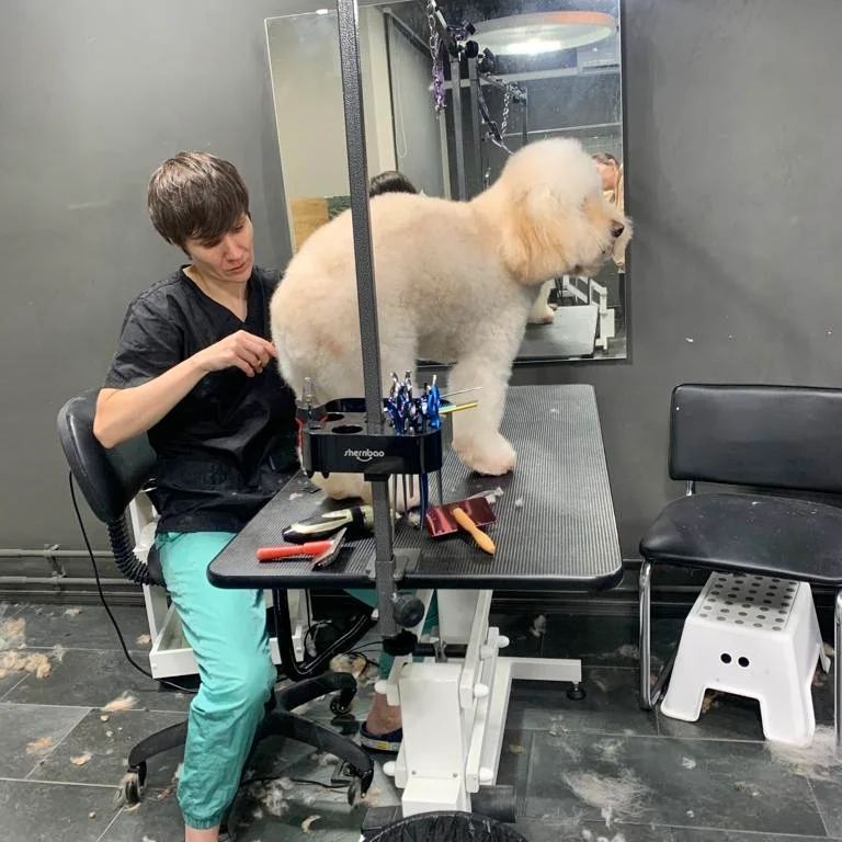 ourgroomingsalon в LOOKY — фото 2
