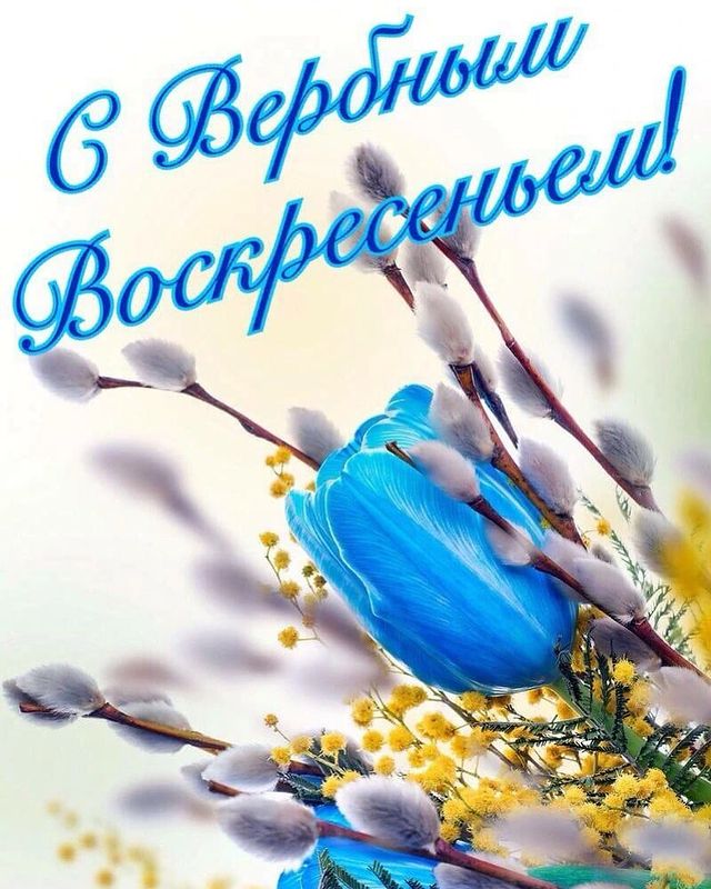 simka_bezlimit_tarif_rf в LOOKY. . null