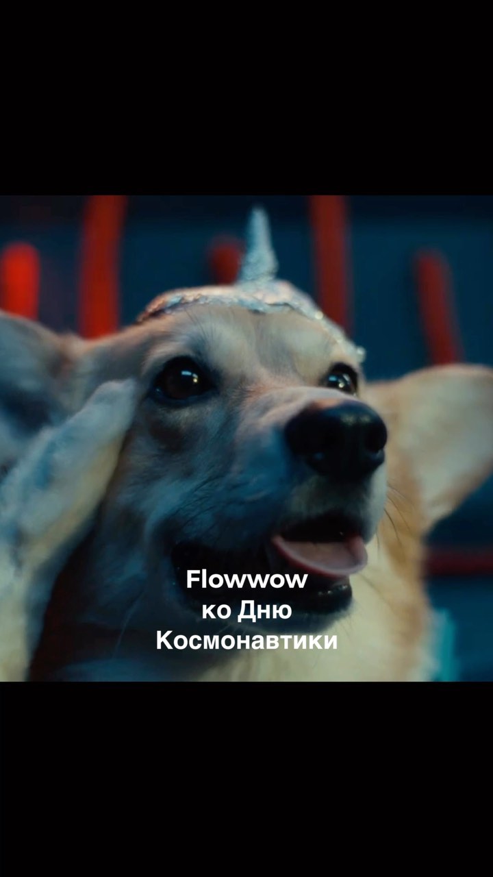 owi.studio в LOOKY. #flowwow,#денькосмонавтики,#маркетинговыйход. Олдскулы свело от Fl...