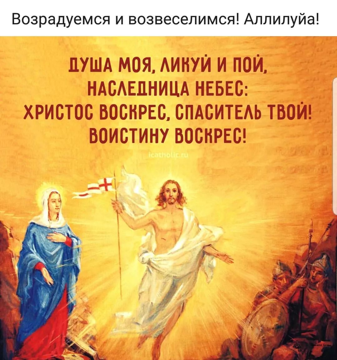 frenkizero352 в LOOKY — Возрадуемся!
Христос Воскрес!!!
Христос Воскрес!!!
Христос В