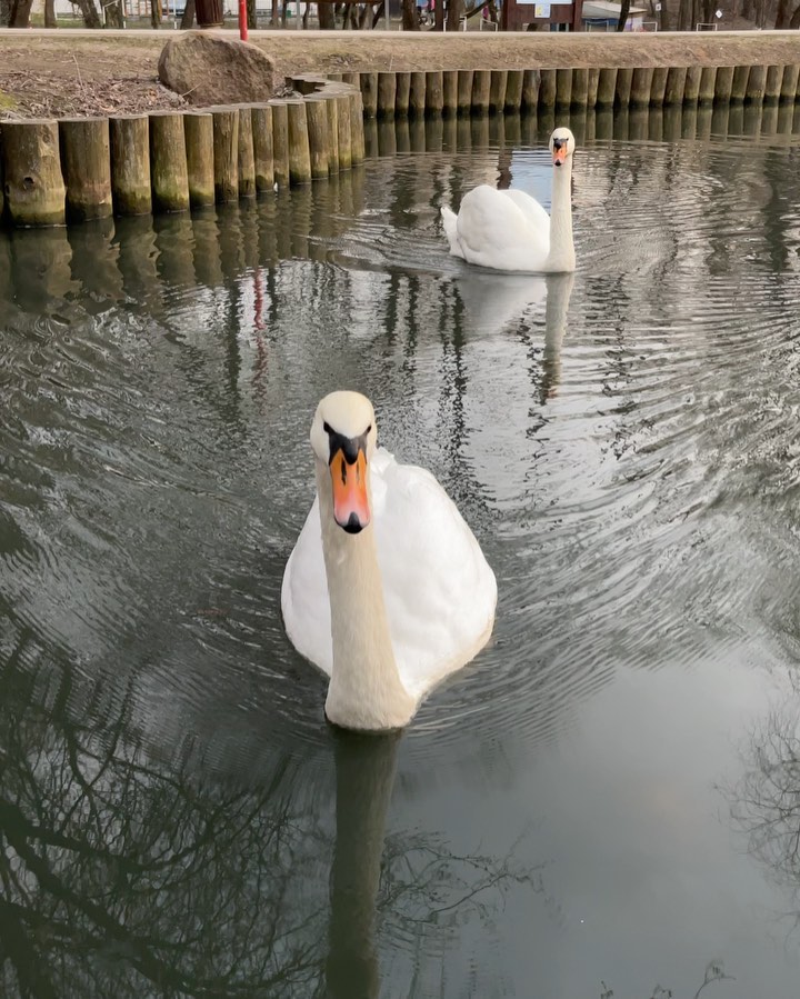  в LOOKY — фото 2