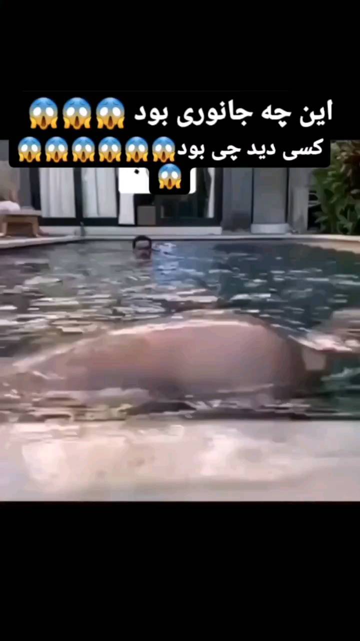 saiftaj88 в LOOKY. . null