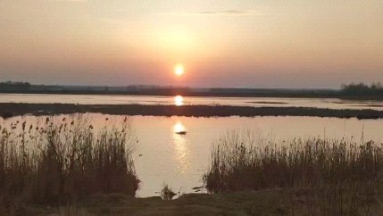 valsoraY yaneshakuL в LOOKY. #солнце,#рилс,#весна,#река,#рекаслуч,#солнцевстает,#веснапришла,#spring,#sun,#sunday. Солнце встаёт

#солн...