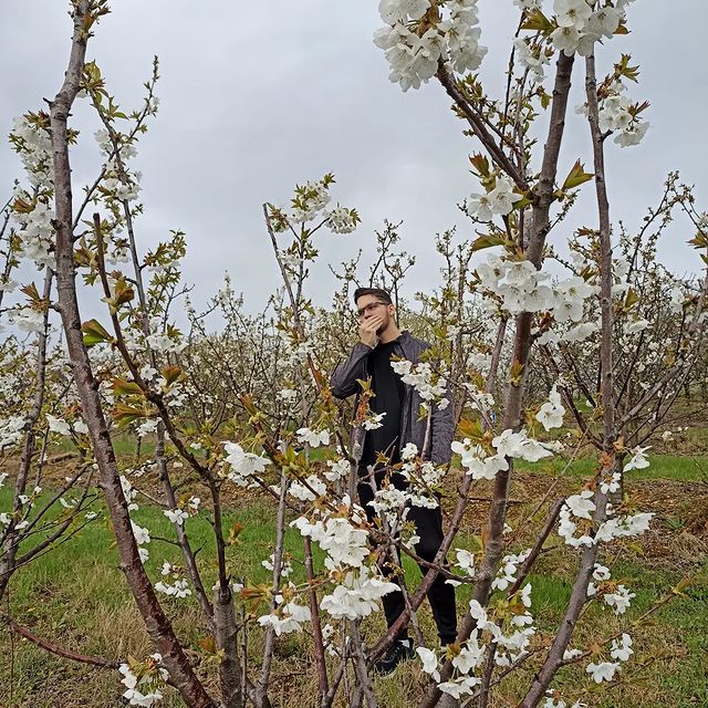 ivanov.offiziell в LOOKY. #branch,#flower,#floweringplant,#grass,#plant,#shrub,#sky,#terrestrialplant,#tree,#twig,#ветвь,#веточка,#дерево,#кустарник,#наземноерастение,#небо,#растение,#трава,#цветок,#цветущеерастение. 𝔹𝕣𝕖𝕖𝕕𝕚𝕟𝕘, 𝕂...