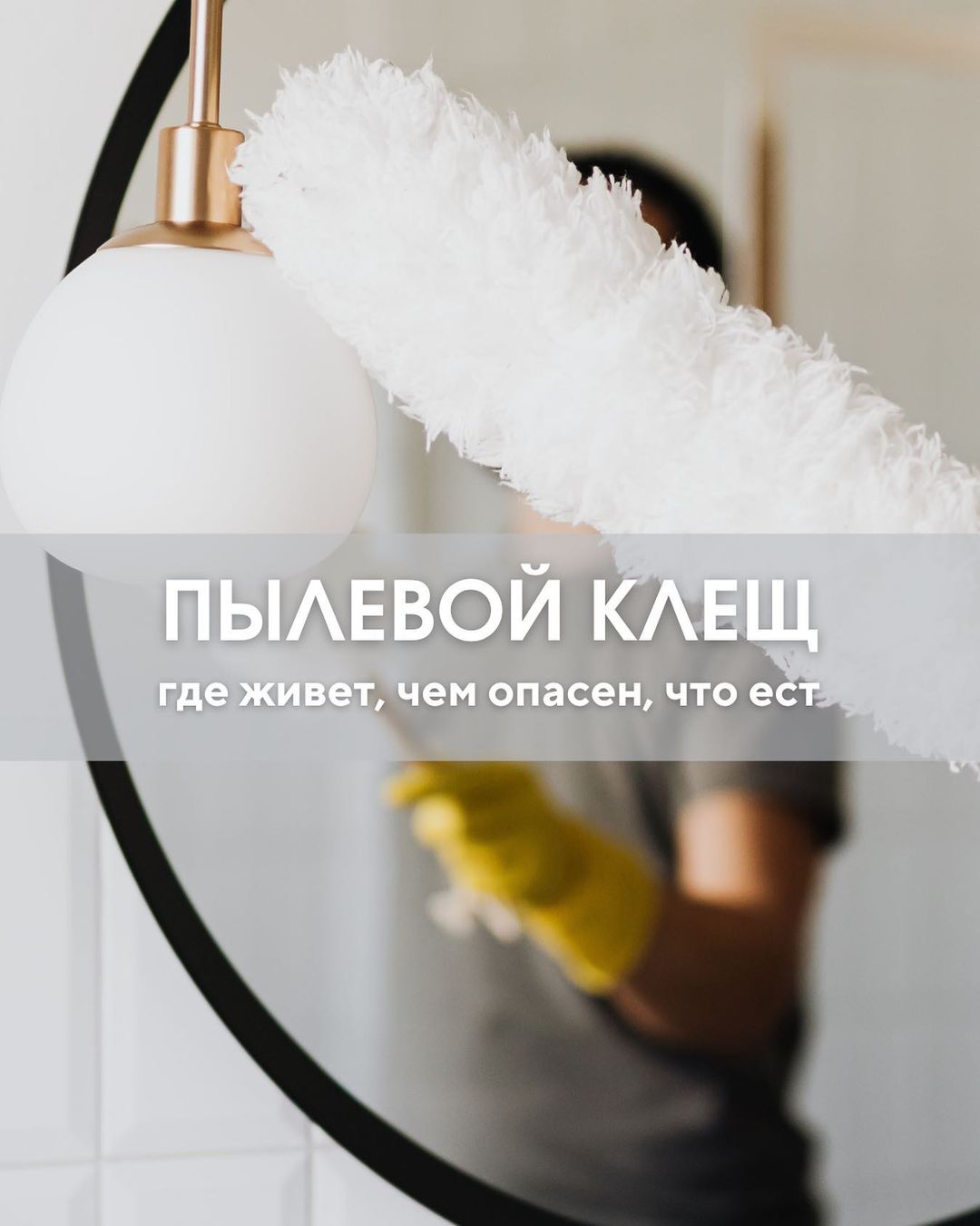 Ночь превращалась в пытку. 
Они были рядом постоянно. 
Она прижималась к ним лицом, вдыхала их экскременты и кашляла... 

Как начало ужастика, правда? 

По статистике почти 2/3 людей с бронхиальной астмой страдают аллергией на клещей и продукты их жизнедеятельности. 

Пылевой клещ – наш ночной мучитель. 
Врага нужно знать в лицо, так давайте познакомимся. 

🕷 микроскопическое насекомое размером от 0,5 до 0,1 миллиметра,
🕷 цикл жизни до 80 дней, 
🕷каждая особь оставляет потомство в виде кладки яиц из 60 штук,
🕷отнесен к классу Arachnida – паукообразных. 

Пылевой клещ — это синатропный организм, то есть «живущий вместе с человеком».
Он любит, чтобы было тепло и влажно. Очень комфортные условия для проживания пылевого клеща пыли именно в постели, ведь во время сна здоровый человек выделяет до 300 мл пота.
Питается клещ отмершими клетками человеческой кожи, частицами шерстяного ворса пледов, одеял, ковров, мебельной обивки. 

Пылевые клещи живут «колониями» от 10 до 10 000 насекомых на 1 грамм пыли. 

Чем опасны пылевые клещи? 

Для человека опасны не сами клещи, а вещества, содержащиеся в их экскрементах.  Белки, с помощью, которых клещ расщепляет и переваривает человеческую кожу являются сильными аллергенами. Хотя конечно хитиновая оболочка умерших насекомых так же раздражает слизистую дыхательных путей. И может стать причиной различных аллергических заболеваний. 

Клещи домашней пыли способны вызывать:

🔸аллергический ринит;
🔸бронхиальную астму;
🔸респираторные аллергозы — при периодическом вдыхании клещей и их экскрементов;
🔸атопический дерматит;
🔸конъюнктивит;
🔸риноконъюнктивит;
🔸отек Квинке;
🔸акародерматиты — при укусах пылевых клещей;
🔸глубокие акариазы — при попадании клещей в желудочно-кишечный тракт.

Все это объединяется понятием клещевая аллергия. Очевидно, аллергия на пылевого клеща не только неприятное, но и опасное заболевание. Поэтому так важно, как можно чаще проводить влажную уборку, менять постельное бельё, чтобы минимизировать контакт с аллергеном. 

Какие ещё есть способы борьбы с невидимым, но очень серьёзным врагом, расскажем чуть позже. 

Вам знакома аллергия на клещей домашней пыли?