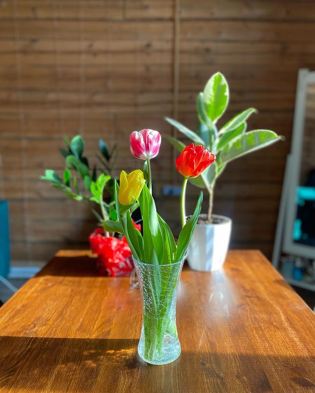 aita_linka в LOOKY. . ❤️💜💚💛🧡