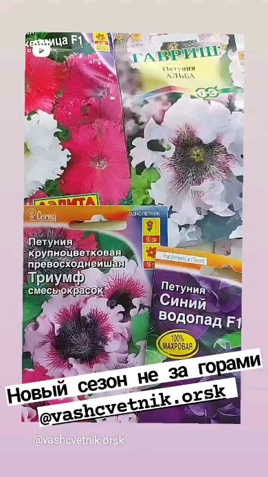 vashcvetnik.orsk в LOOKY. . null