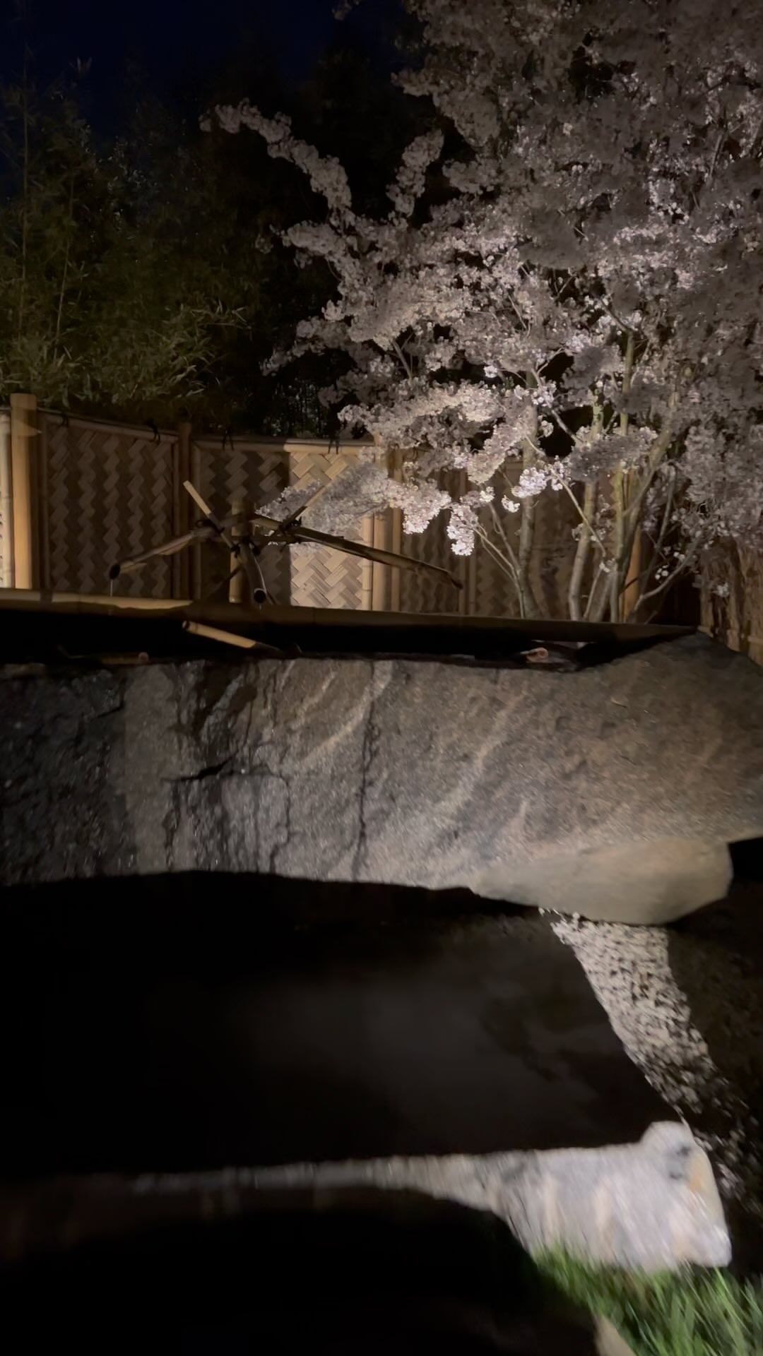 fazerkmw в LOOKY. #Россия,#Кавказ,#ЮФО,#Краснодар,#japangarden,#. Russia, Krasnodar, J...