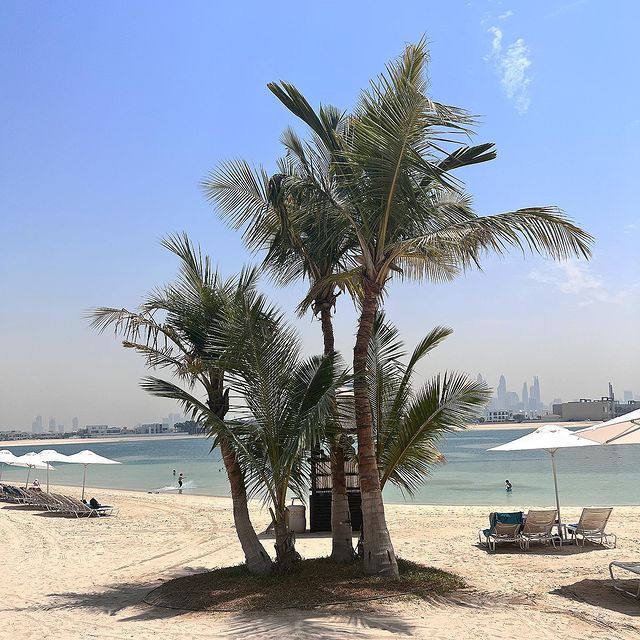 lenochka_dm_ в LOOKY. . 🌴🌊