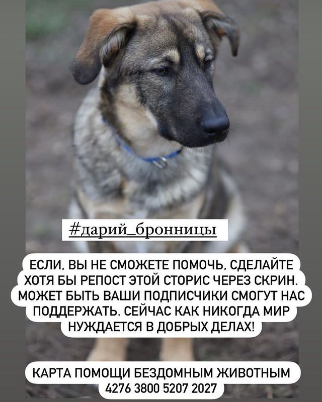 martyns_family в LOOKY. . Друзья, очень нужна ...