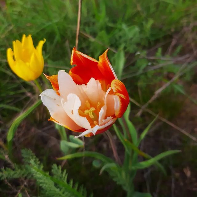 alexsandra_dokurova в LOOKY. . весне дорогу!