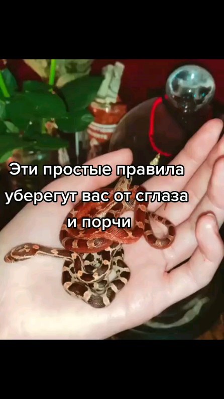 vedma_elena в LOOKY. #порча,#сглаз,#приворот,#обряды,#приметы,#эзотерика,#колдунья,#колдовство,#гадалка,#приворотпофото,#порчапофото,#ритуал,#обряд,#таролог,#отворот,#рассорка. Во благо! #порча #сг...