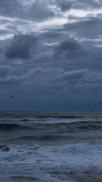 ni.amff в LOOKY. . null