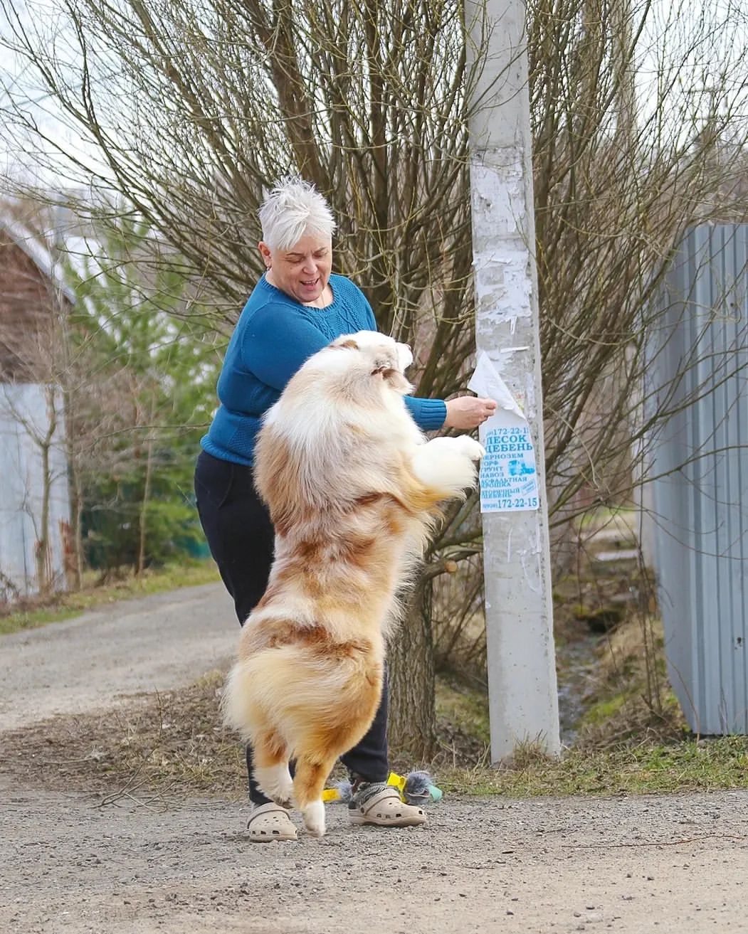 iz_doma_korolevoi_kennel в LOOKY — фото 3