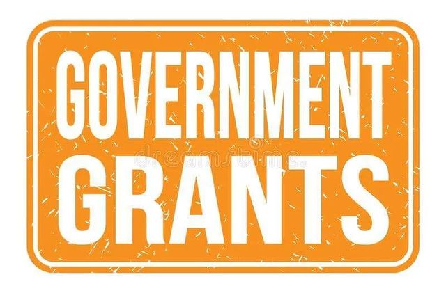 dhhs.grant_supporter в LOOKY. . The federal governme...