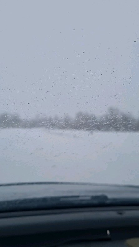 anzhelamirs_tomsk в LOOKY. . null