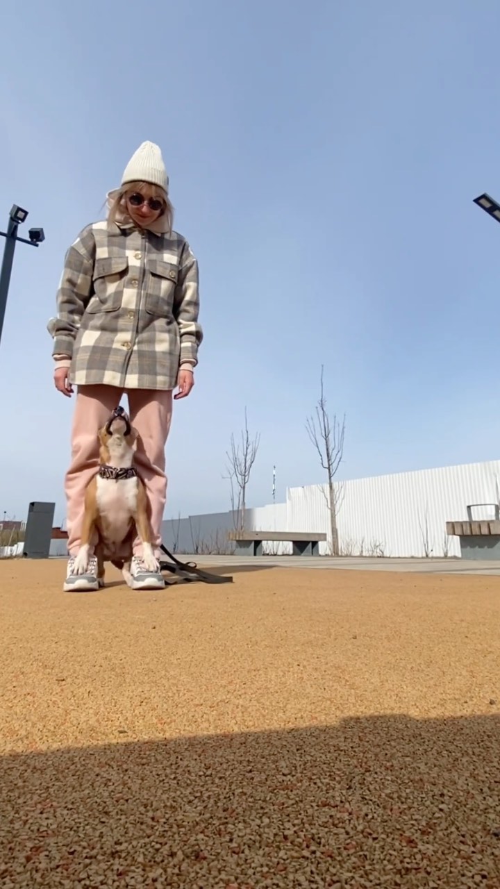 minibull_izzi в LOOKY. #бультерьер,#минибуль,#минибультерьер,#собака,#собакадруг,#собакадругчеловека,#трюки,#команда,#команды,#дрессировка,#dog,#dogsofinstagram,#doglover,#ilovemydog,#happydog,#bullterrier,#minibullterrier. Мой маяк 💎🫶🏼

#бу...