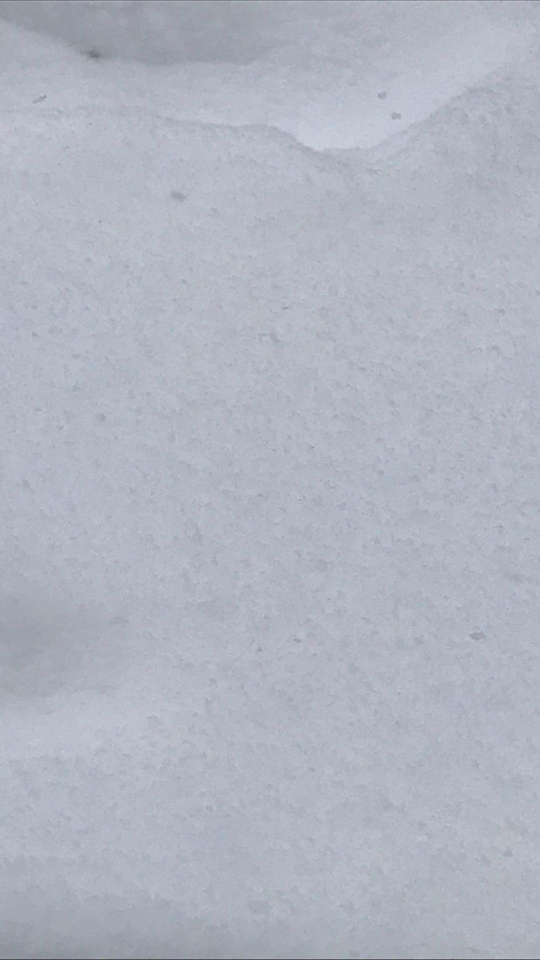 nasty_m10 в LOOKY. . ☃️Все достаём обратн...