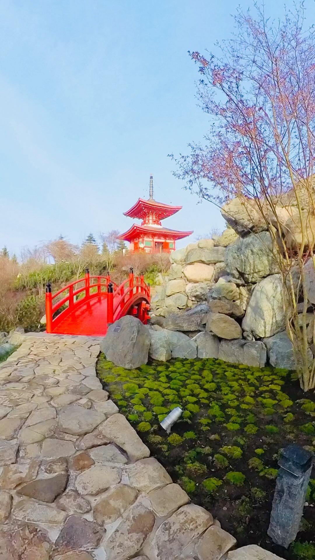 fazerkmw в LOOKY. ##Россия,#Кавказ,#ЮФО,#Краснодар,#японскийсад,#japangarden. Японский сад Краснод...