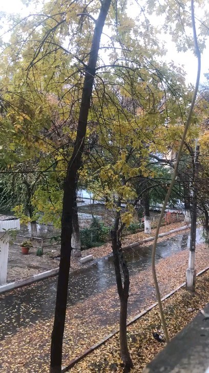 ziyodullayevjamshid92019 в LOOKY. #like,#yomgʻir,#rek,#video,#uzbekistan,#tashkent,#park,#ecopark. Время удивительно ⏳
...