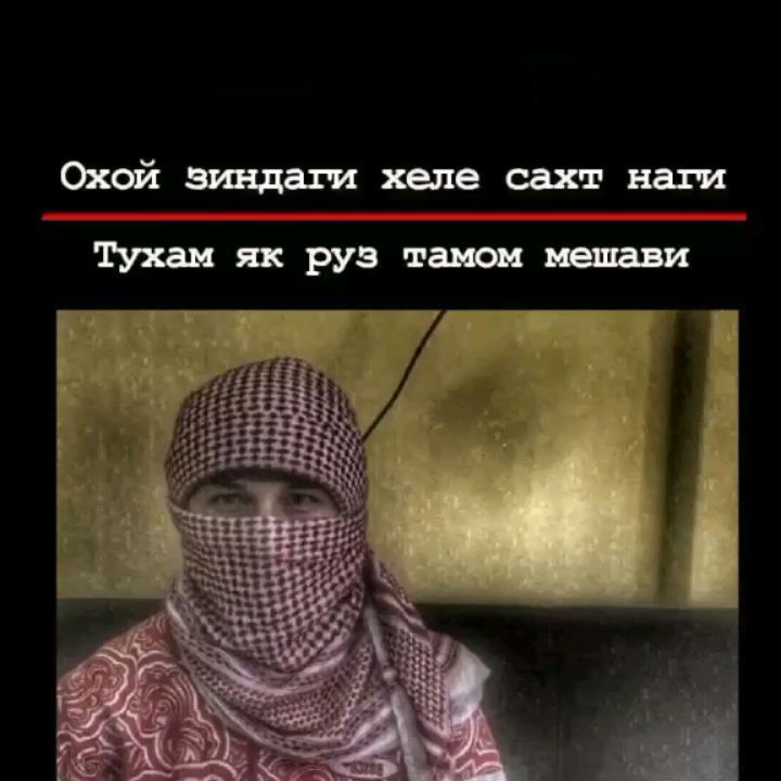 shbsgsvsbsg в LOOKY. . Выход в топ