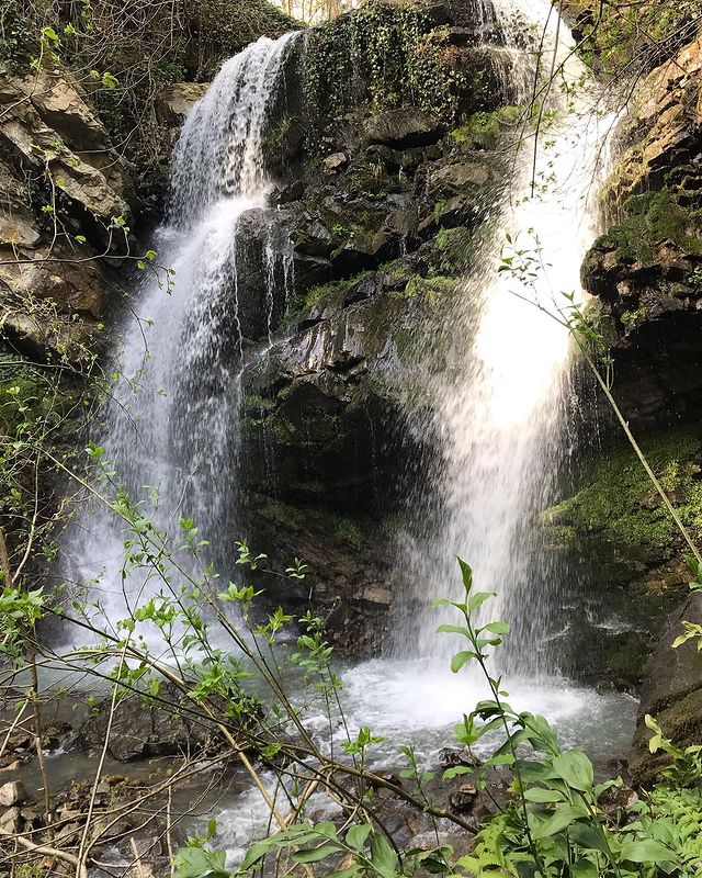 akulina_sochi в LOOKY. #водопады,#вода,#силаводы,#природа,#лес,#пододы,#релакс,#лайтпрогулка,#весна2023. Водопады в окрестнос...