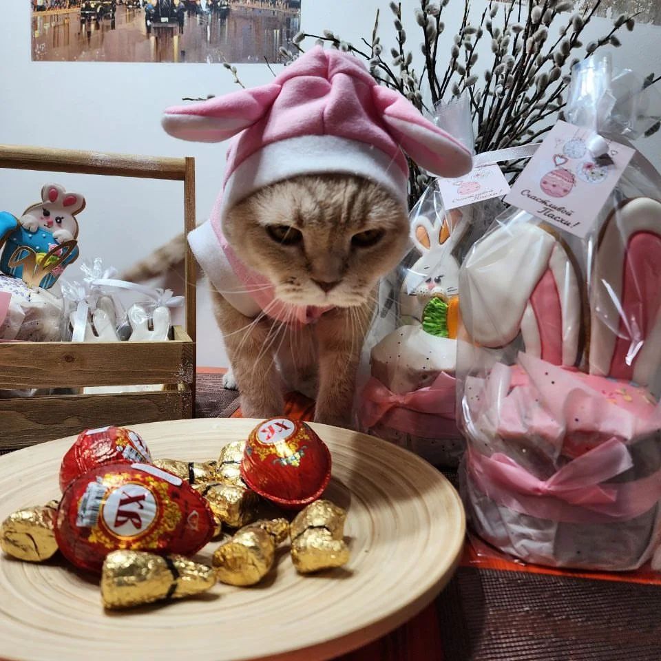rokossovec in LOOKY. . Мой пасхальный кроли...