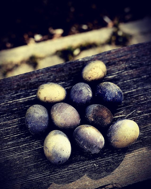 fairyforestwitch в LOOKY. #пасха,#happyeaster,#light,#day,#fotooftheday,#fotografia,#foto,#fotos,#cathedral. #пасха #happyeaster ...
