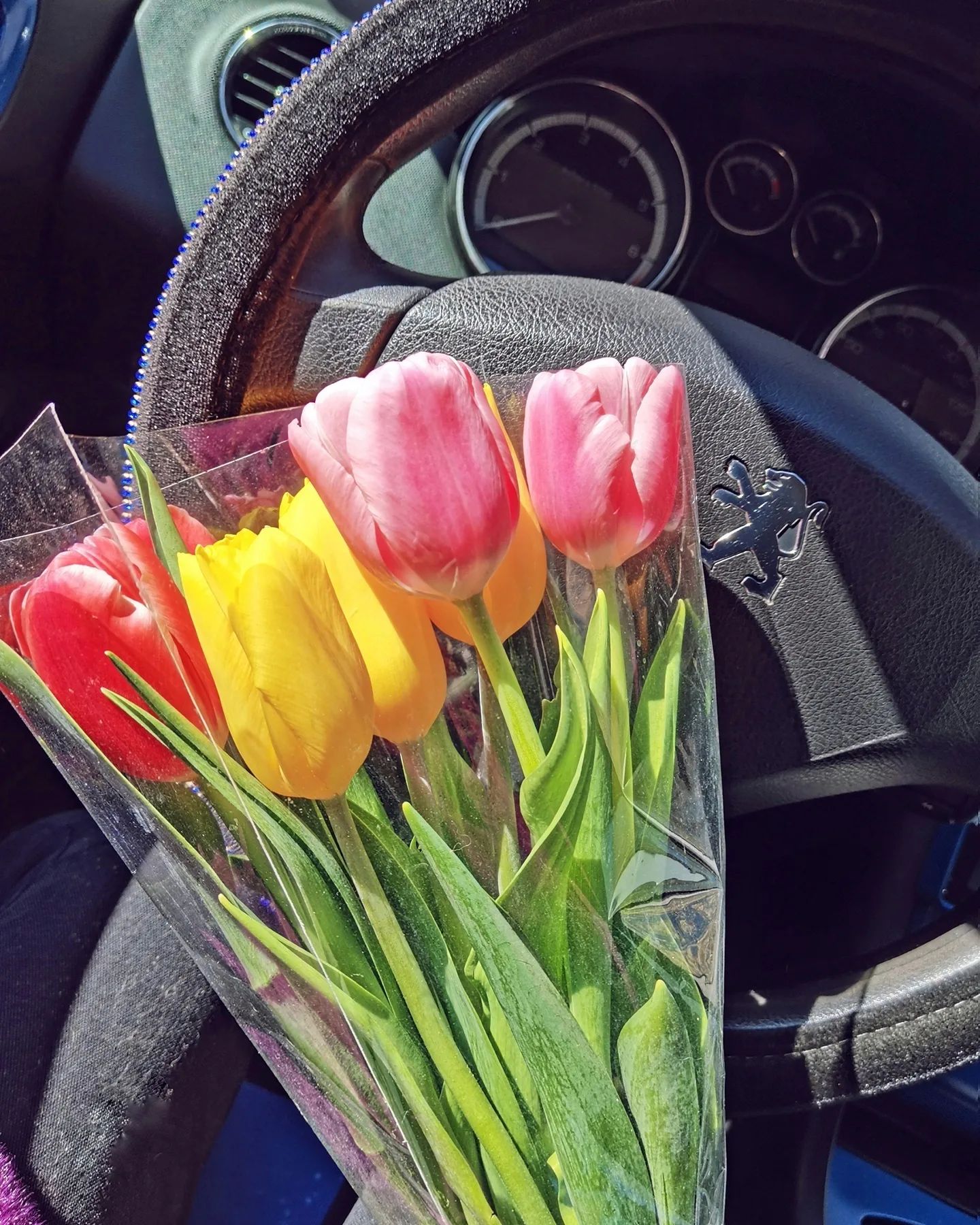 tekilla_boom163 в LOOKY. . Прекрасные выдались ...