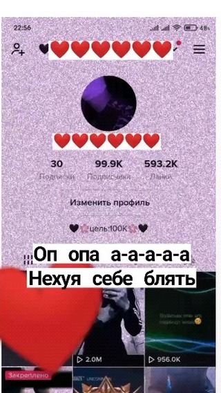 the_amishka_2k03 в LOOKY. . null