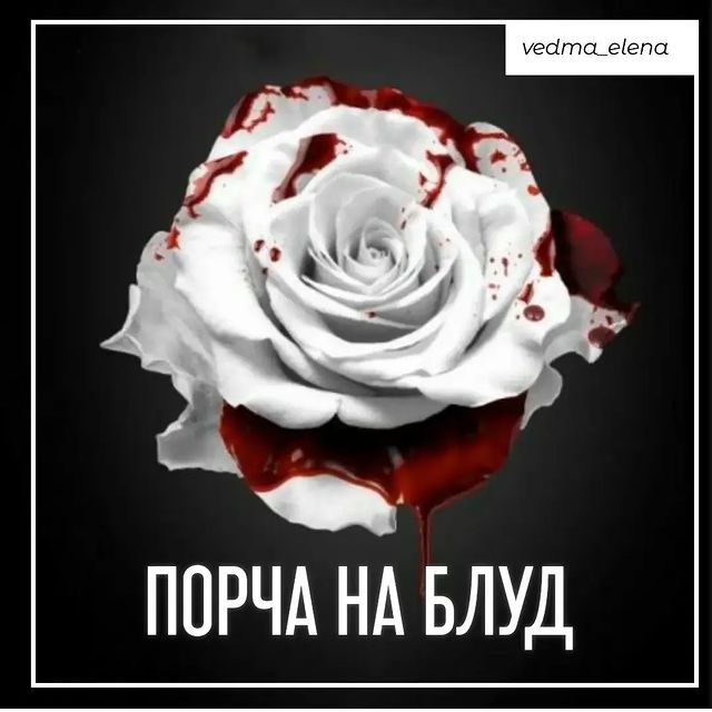vedma_elena в LOOKY. #таро,#тароонлайн,#порчанасумасшествие,#рассорка,#порчанаотношения,#порчанаожирение,#порчанапьянство,#порчанабезденежье,#порчанаболезни,#порча,#порчанасмерть,#порчасглазприворот,#порчанаодиночество,#порчабыстрая,#порчаназдоровье,#порчапофото,#порчананеудачи,#порчанафинансы,#сглаз,#порчазакрытиедорог,#порчанаказание,#руническаяпорча,#руническаямагия,#руническийстав,#гаданиеонлайн,#гаданиенакартах,#гаданиенатаро,#гаданиетаро,#гаданиепофото. Порча на блуд. Челов...